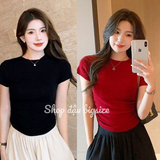 Áo thun kiểu bigsize,áo kiểu crotop cổ tròn g102