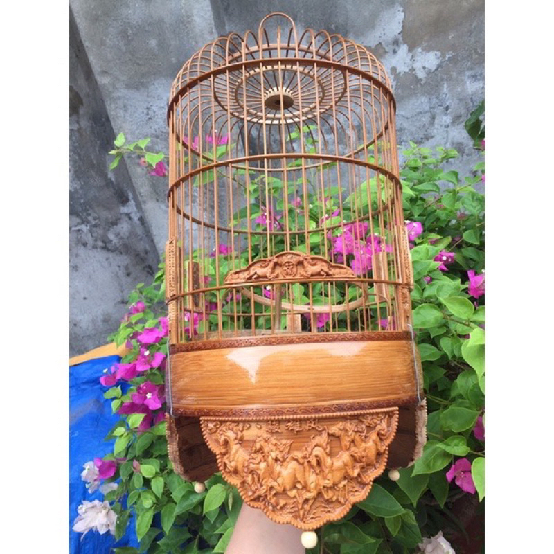 Lồng khuyên đục ful pk