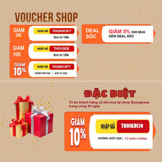 Quần Short Nữ Gập Gấu