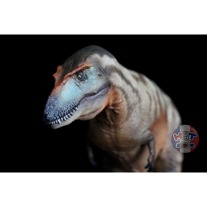 Mô hình khủng long Gorgosaurus PNSO 71 Tristan tỉ lệ 1/35