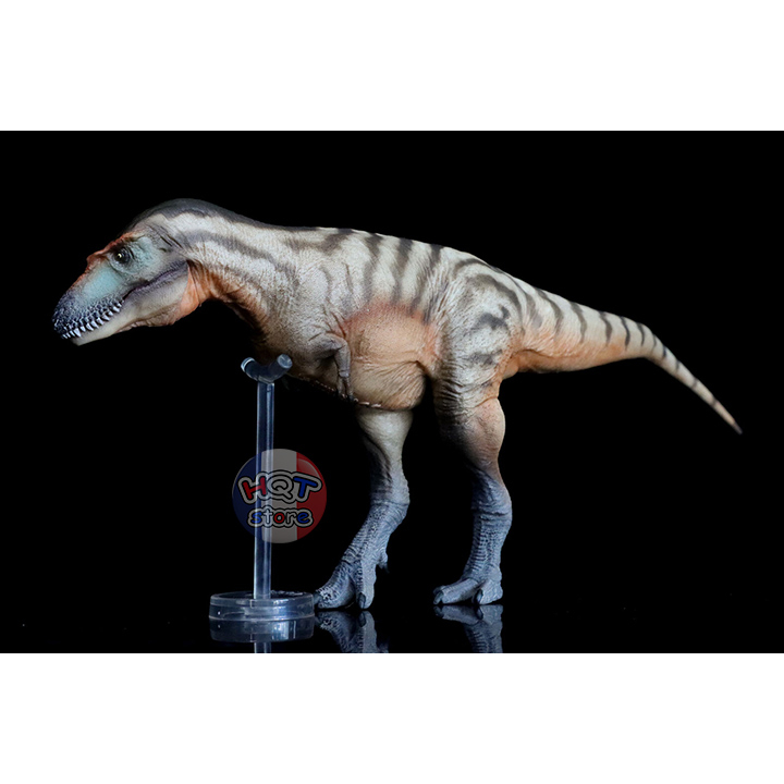Mô hình khủng long Gorgosaurus PNSO 71 Tristan tỉ lệ 1/35