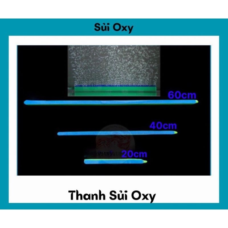 Thanh Sủi Oxy Cho Bể Cá