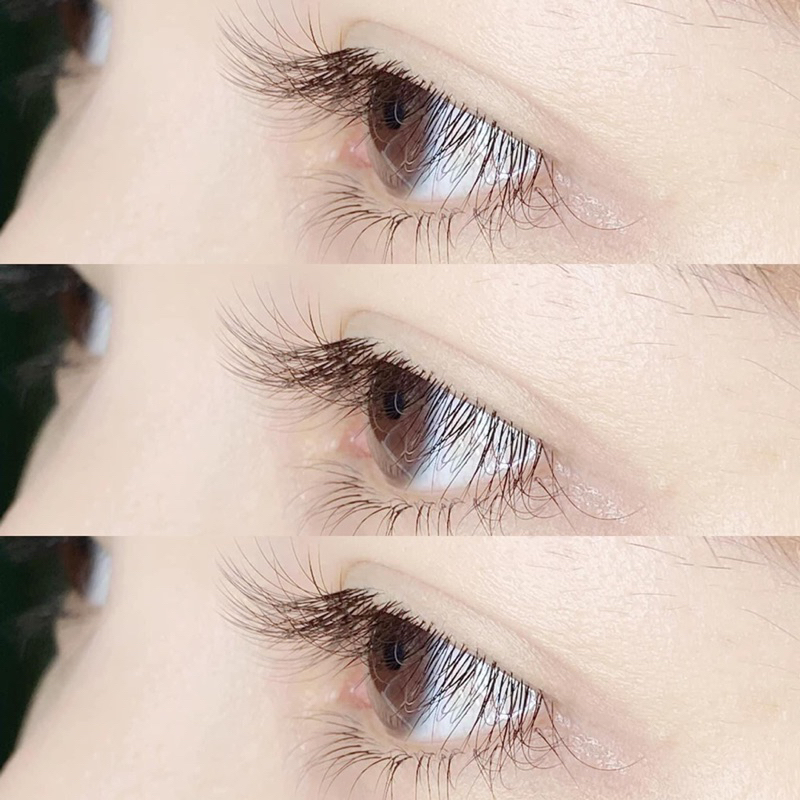 Mi tàng hình hot trend