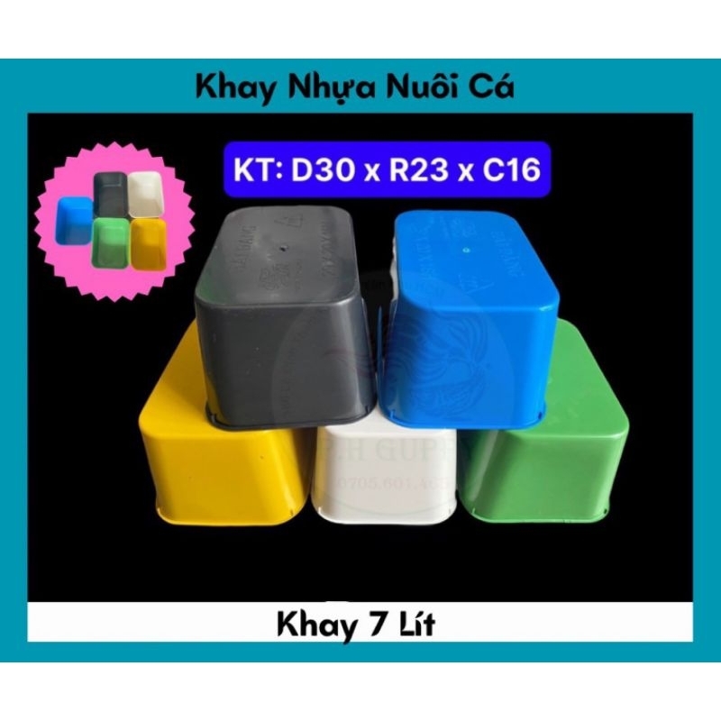 Khay Nhựa Nuôi Cá 7 Lít 22x30x16cm