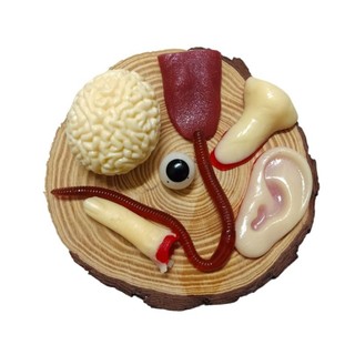 Mô hình bộ phận cơ thể người lưỡi, tai, mắt, não, ngón tay dẻo trang trí halloween