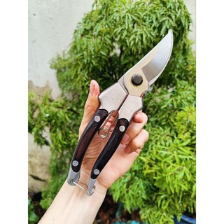Kéo cắt cành áp gỗ japan cao cấp
