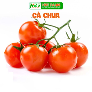 Hạt giống cà chua quả to ngon, dễ trồng 70 hạt - h2t farm