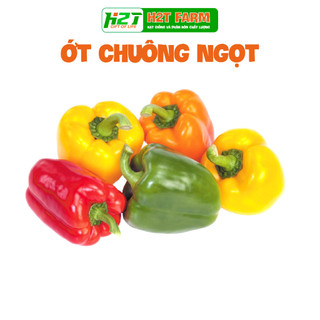 Hạt giống ớt chuông sai trái - h2t farm