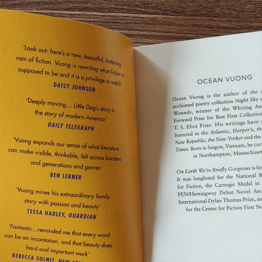 Tiểu thuyết tiếng Anh - On Earth We're Briefly Gorgeous