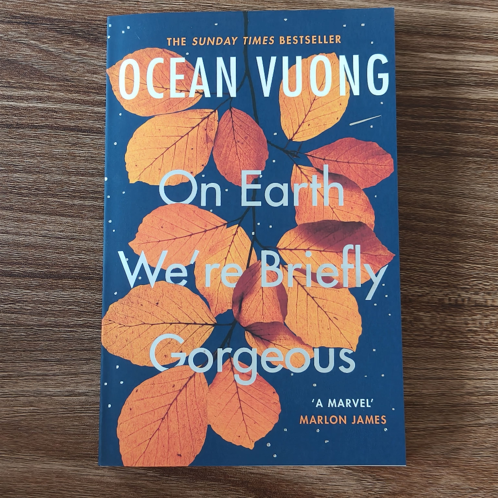Tiểu thuyết tiếng Anh - On Earth We're Briefly Gorgeous