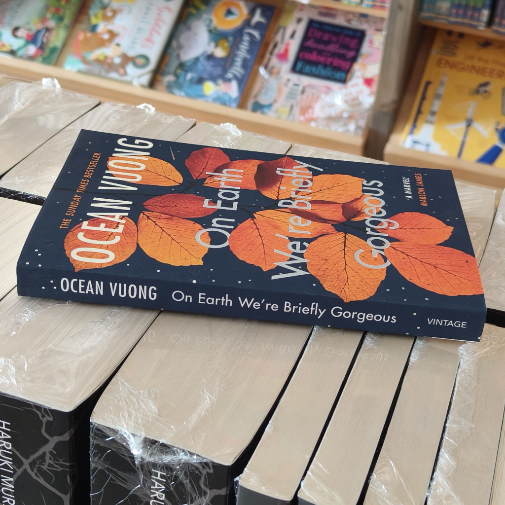 Tiểu thuyết tiếng Anh - On Earth We're Briefly Gorgeous