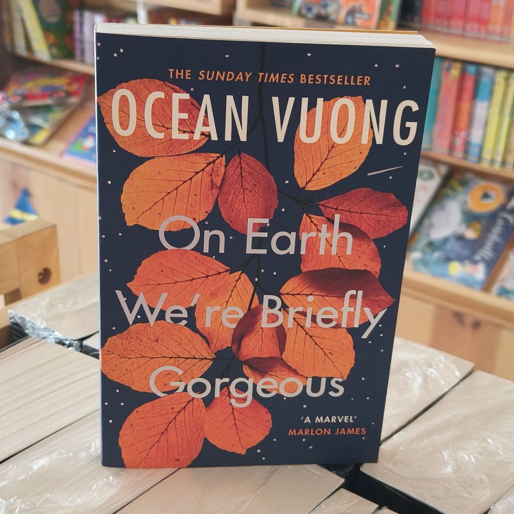 Tiểu thuyết tiếng Anh - On Earth We're Briefly Gorgeous