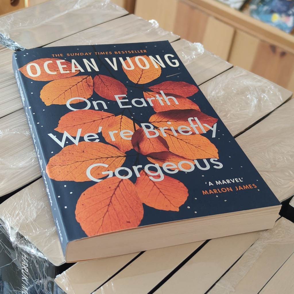 Tiểu thuyết tiếng Anh - On Earth We're Briefly Gorgeous