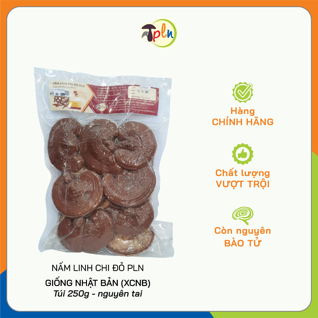 Nấm Linh Chi Nhật Bản Nguyên Tai PLN Túi 250gr - Vị đắng đậm, dược tính cao