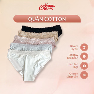 Quần lót nữ freesize chất liệu cotton viền ren co giãn bốn chiều thoải mái Venus Charm 01659