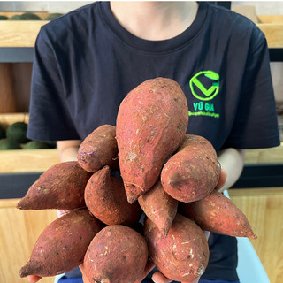 VG FARM Khoai Lang Mật Đà Lạt Lâm Đồng