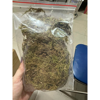 1 bịch rêu khô dùng làm nền nuôi ốc mượn hồn