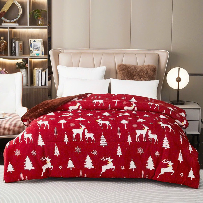 Chăn Nỉ Lông Cừu YUKI Siêu Ấm  Mền YUKI Dày Mịn, Kích Thước 2mx2m2, Nặng 3.3-3.7kg