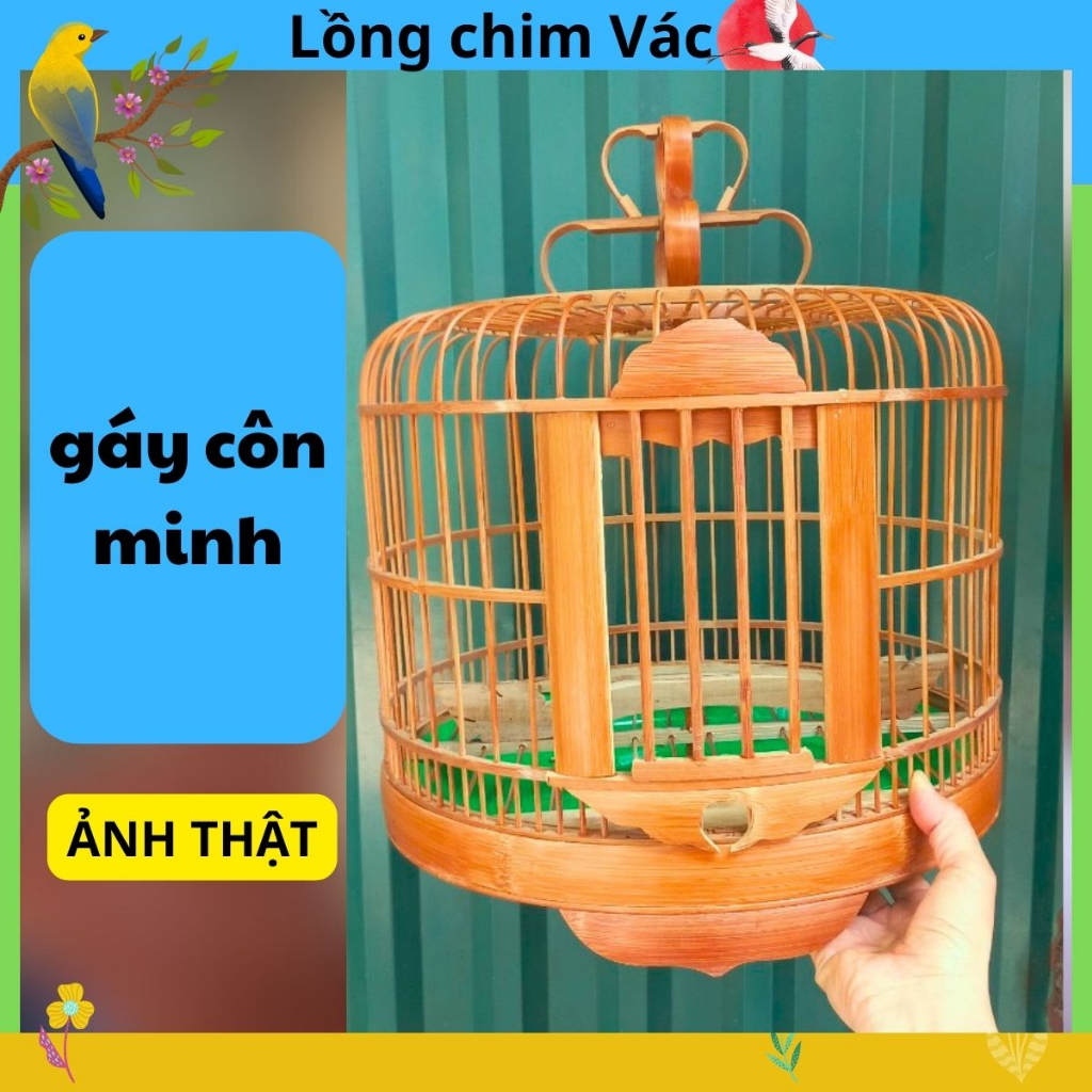 LỒNG GÁY CÔN MINH, LỒNG CHIM CU GÁY CÔN MINH GIÁ RẺ, LỒNG GÁY ĐẦY ĐỦ PHỤ KIỆN