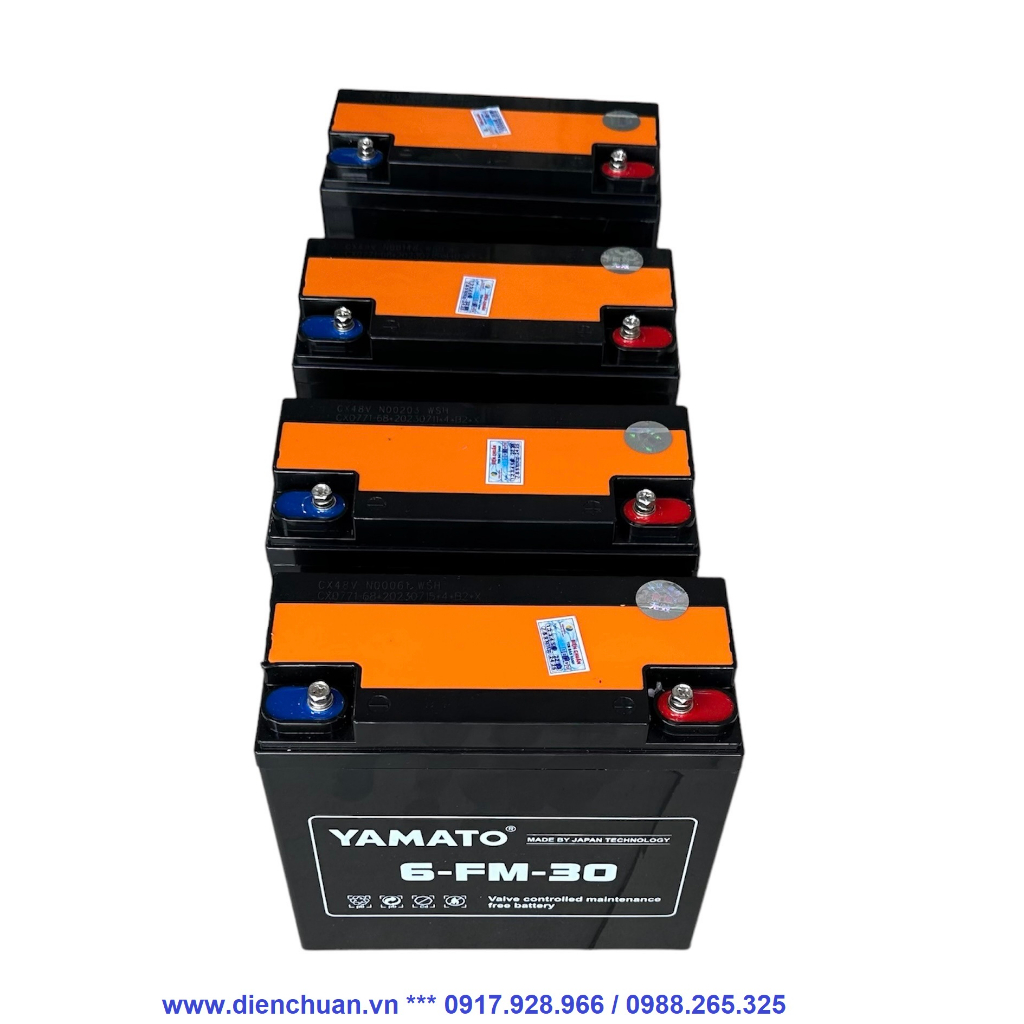 Bộ 4 bình ắc quy xe máy điện Yamato 48V-30Ah 6-FM-30