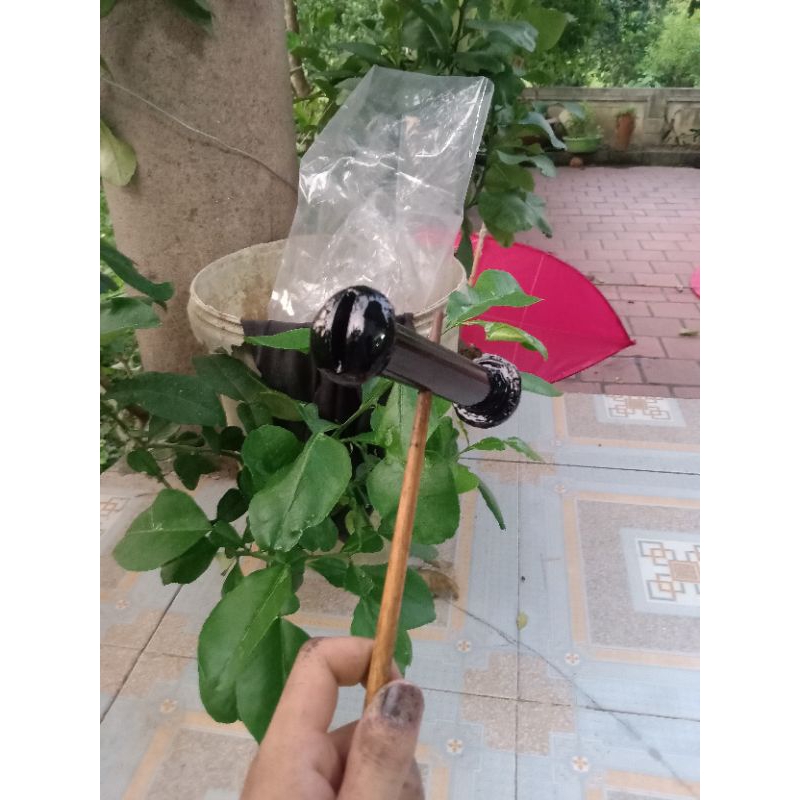 Sáo diều đơn d21 cho diều 50cm trở lên âm cực vip