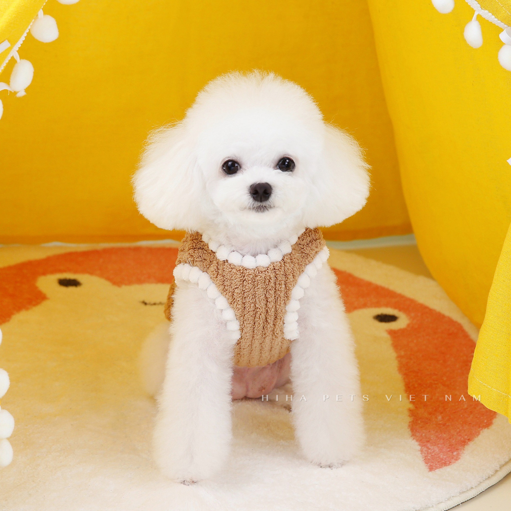Áo Nỉ Gấu Dễ Thương Cho Chó Mèo Mặc Ấm Áp Quần Áo Cho Thú Cưng Cao Cấp Hàn Quốc Hiha Pets.
