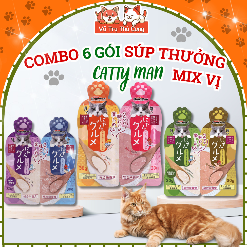 Combo 6 Gói Súp Thưởng Cho Mèo Catty Man Mix Vị 30g