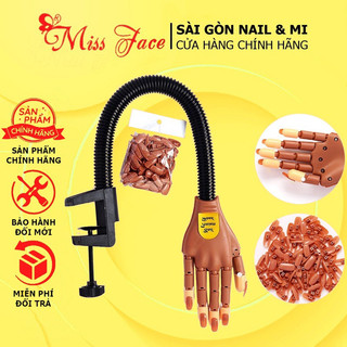 Bàn tay mô hình - bàn tay robot tập học nail có khớp