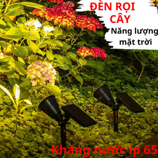 Đèn năng lượng mặt trời rọi cây đèn trang trí sân vườn đèn chiếu sáng ngoài trời tiểu cảnh cắm cỏ kháng nước ip65