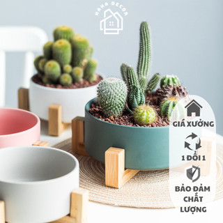 Chân gỗ đặt chậu cây để bàn - decor chậu cây ccg05-db
