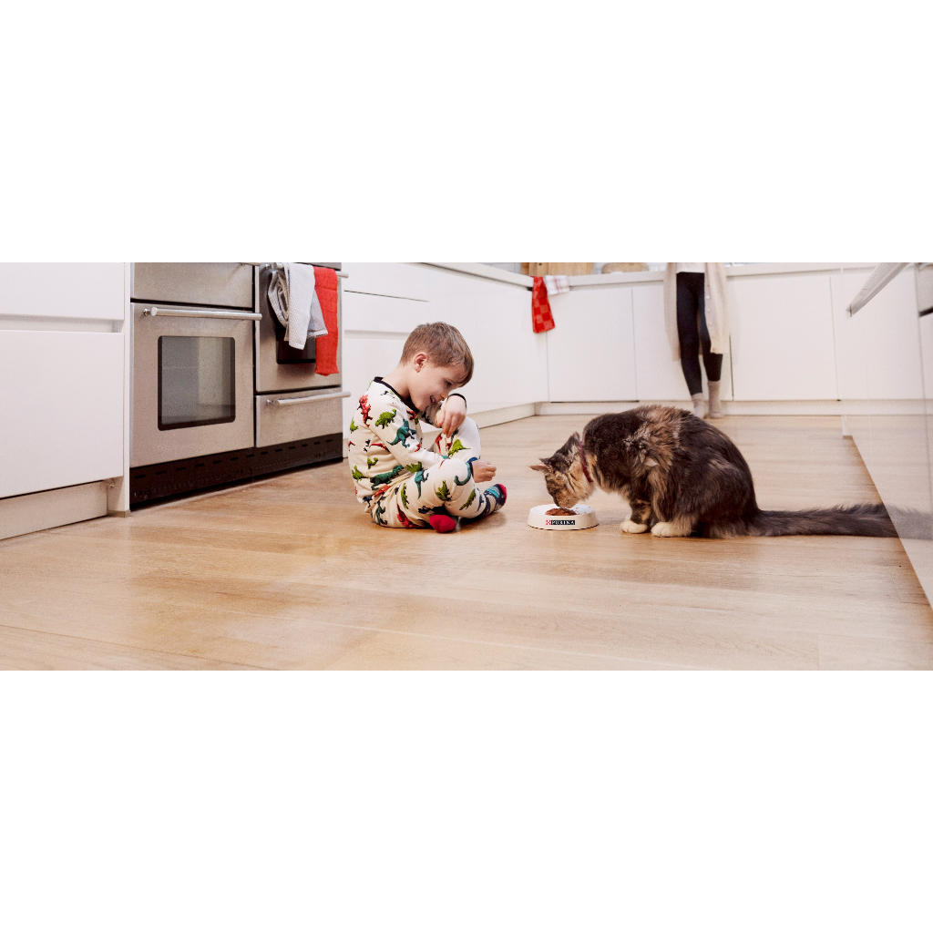 85gr - Pate Purina Pro Plan cho Mèo con Mèo trưởng thành Tiết niệu Kén ăn Proplan for Kitten Cats Pate chức năng cho Mèo