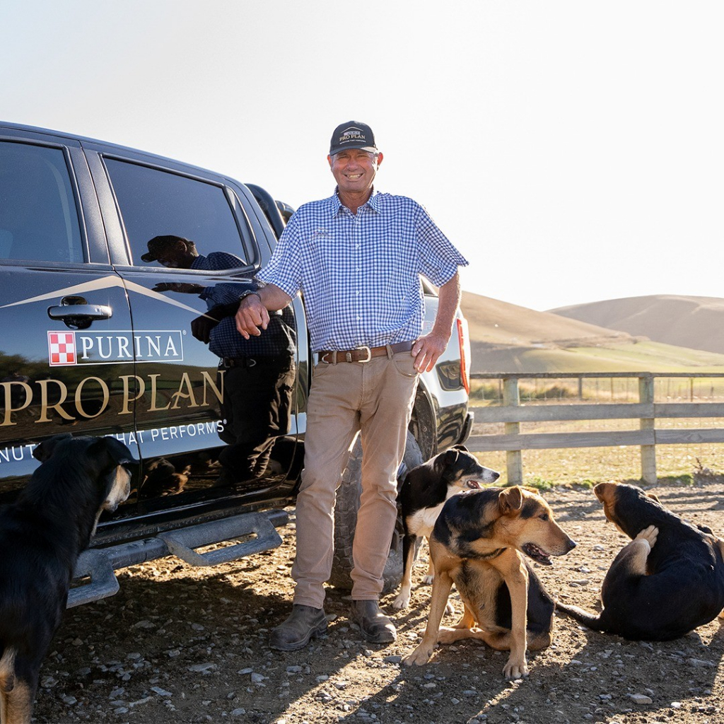 85gr - Pate Purina Pro Plan cho Mèo con Mèo trưởng thành Tiết niệu Kén ăn Proplan for Kitten Cats Pate chức năng cho Mèo