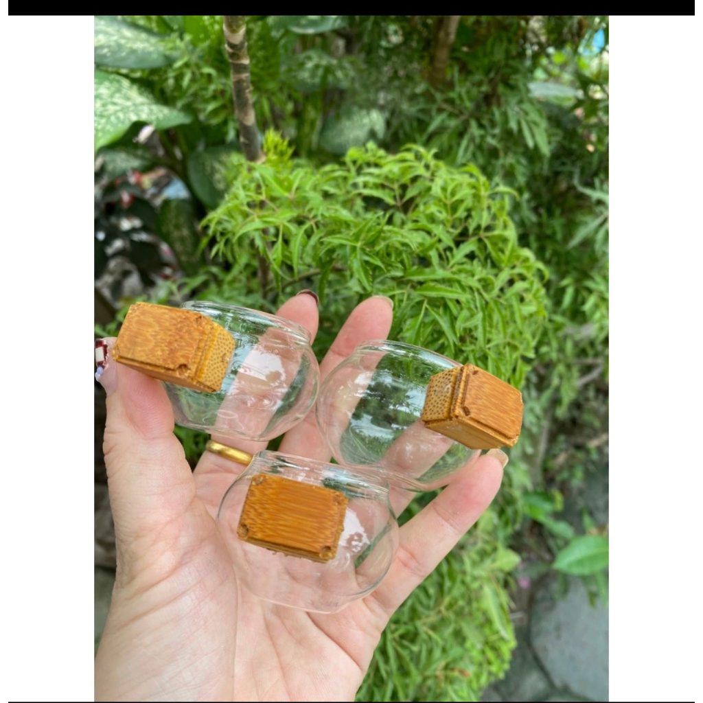 Cóng chào mào thủy tinh