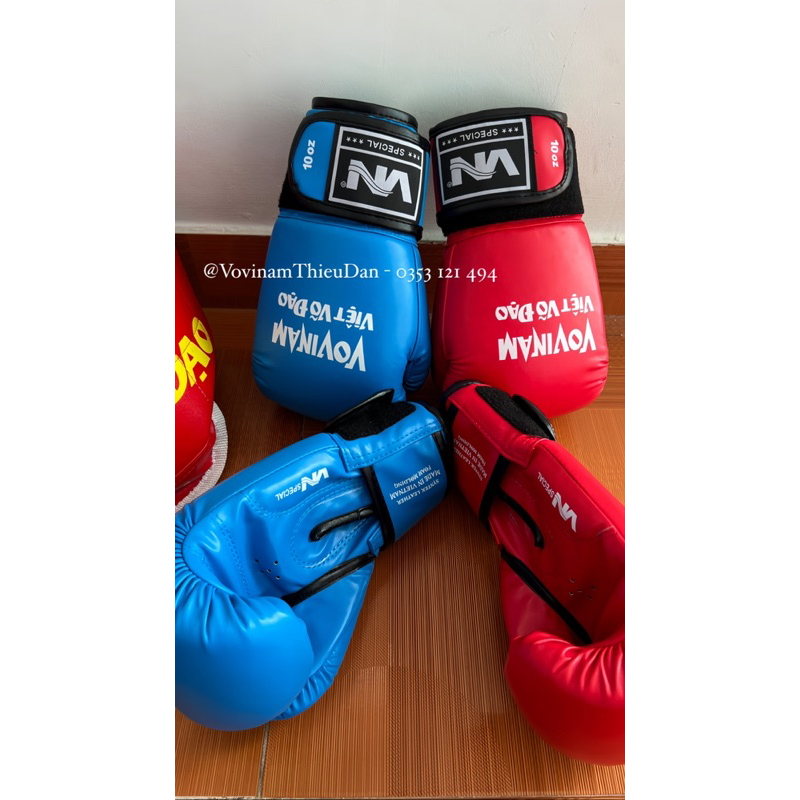 GĂNG THI ĐẤU VOVINAM