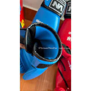 GĂNG THI ĐẤU VOVINAM