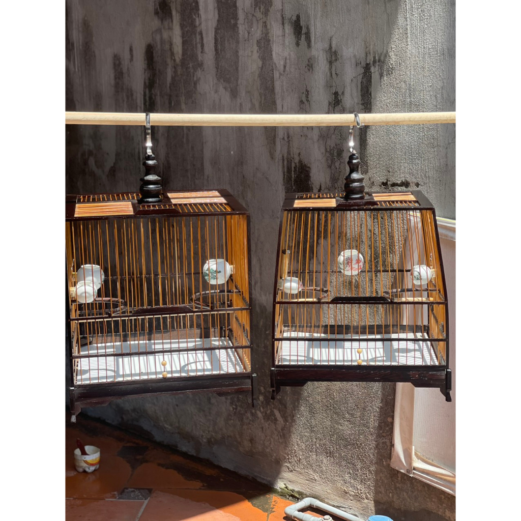 Khung lồng chim chào mào tự ráp gỗ mun đuôi công 21 nan size 37 có video HD