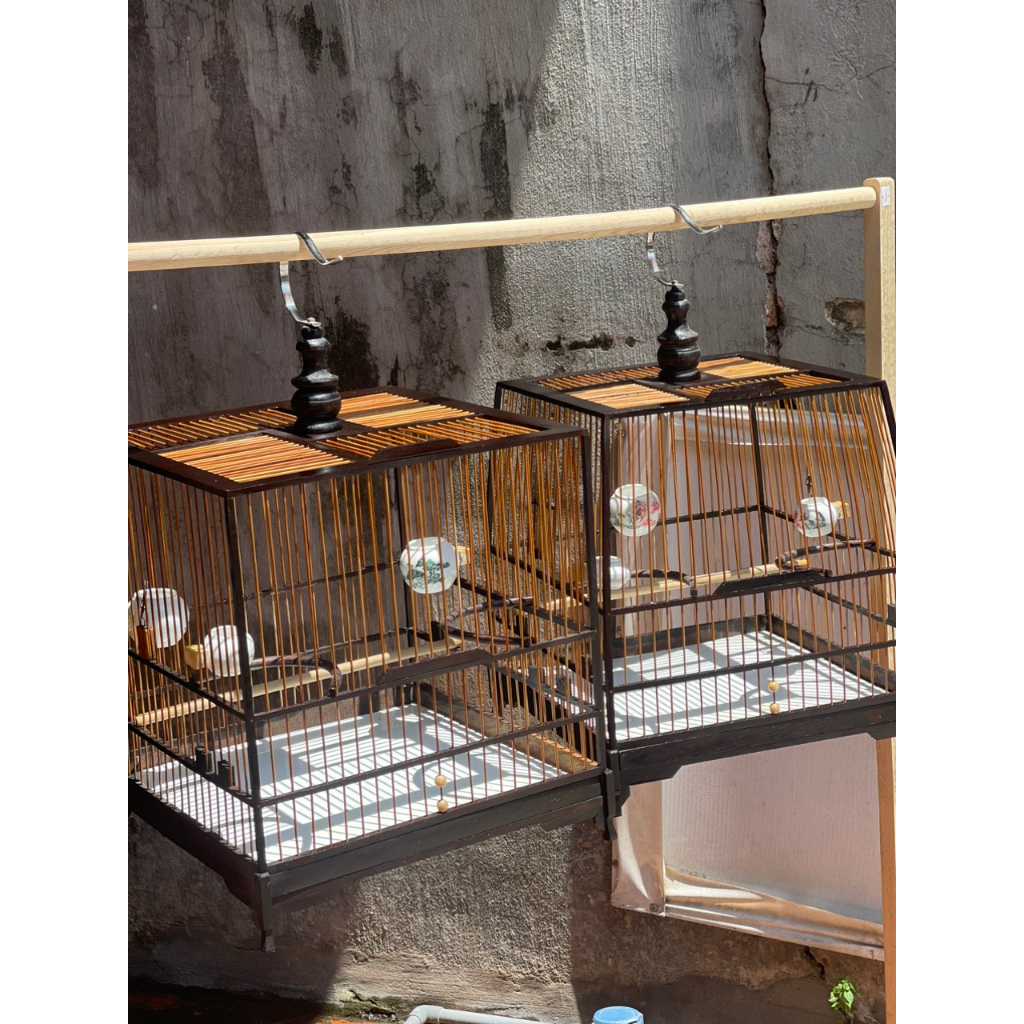 Khung lồng chim chào mào tự ráp gỗ mun đuôi công 21 nan size 37 có video HD