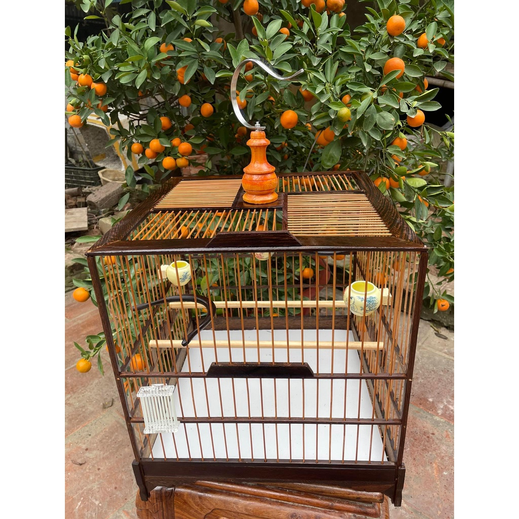 Khung lồng chim chào mào tự ráp gỗ mun đuôi công 21 nan size 37 có video HD