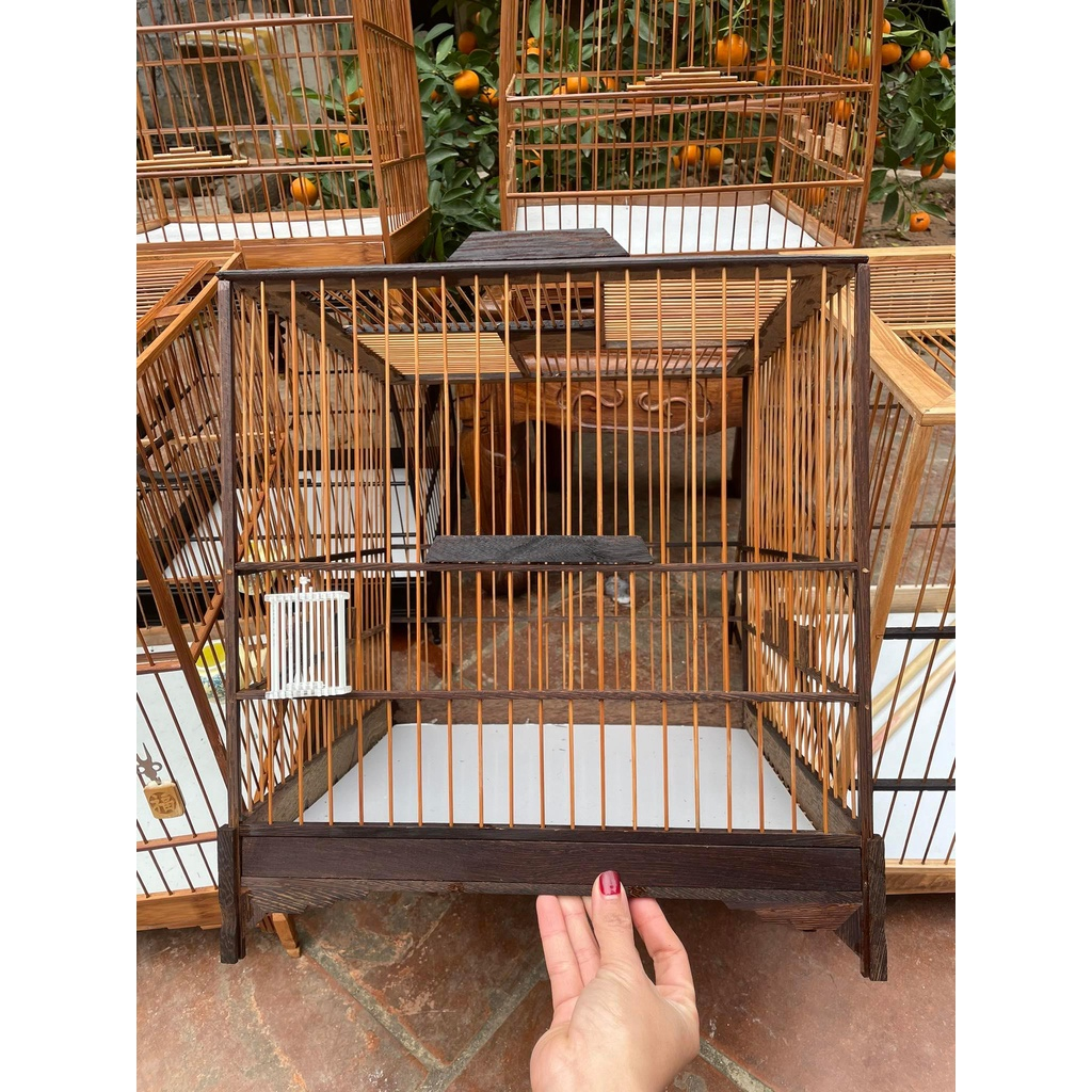 Khung lồng chim chào mào tự ráp gỗ mun đuôi công 21 nan size 37 có video HD