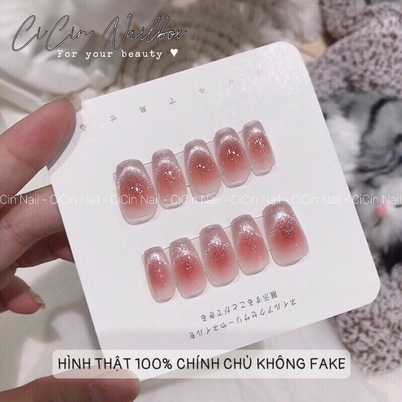 Nailbox / Móng úp Ombre Hồng Mắt Mèo Bạc
