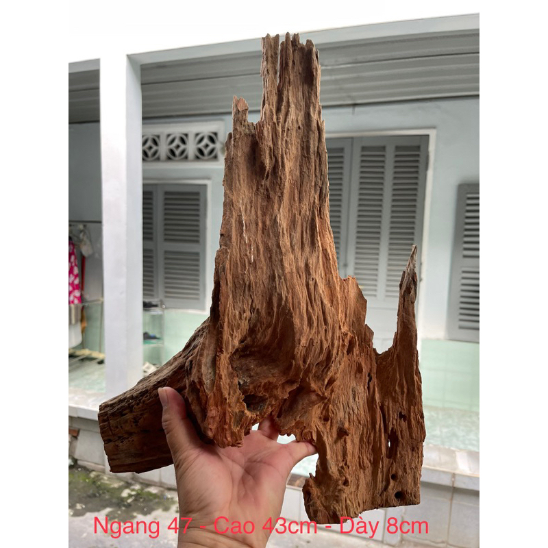 Lũa gỗ setup hồ thuỷ sinh - tiểu cảnh - decor - COMBO 2 mẫu như hình
