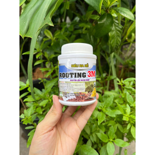 Kích rễ - ra rễ cực mạnh rooting 3m - hủ 100gr !