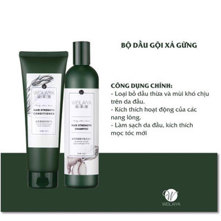 Bộ dầu gội xả gừng Weilaiya [Tặng kèm sét mini]
