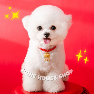 Vòng cổ khóa trường mệnh cho chó mèo