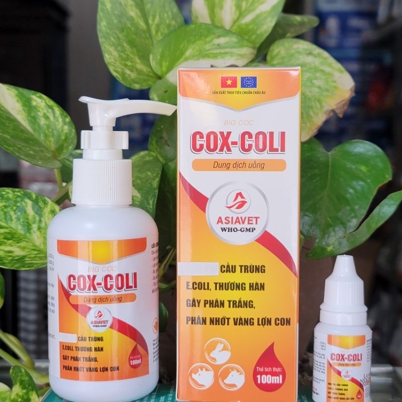Chai Cox Coli chuyên tiêu chảy cầu trùng, ecoli, thương hàn, phân trắng, phân nhớt vàng dùng cho thú cưng