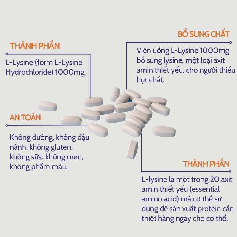 Viên uống hỗ trợ miễn dịch, tăng sinh collagen Now L-Lysine 1000mg 100 viên