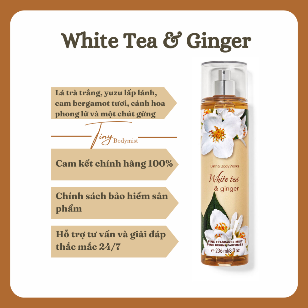Xịt thơm toàn thân Bath & Body Works : White Tea & Ginger
