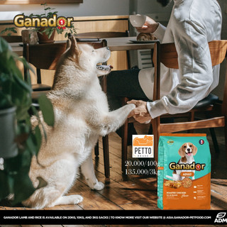 [petto house gò vấp] thức ăn cho trưởng thành Ganador adult roasted chicken 3kg hạt khô tiêu chuẩn pháp vị gà nướng