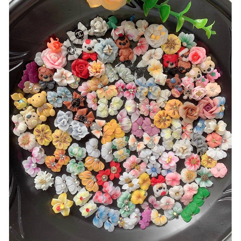 Hoa bột sĩ 100b nn tay chân