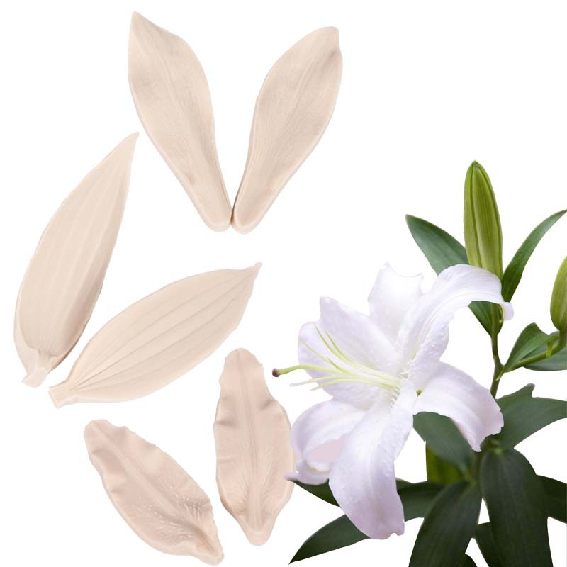 Khuôn silicon nhấn tạo hình cánh hoa ly cho hoa đất sét Nhật Bản, bánh kem